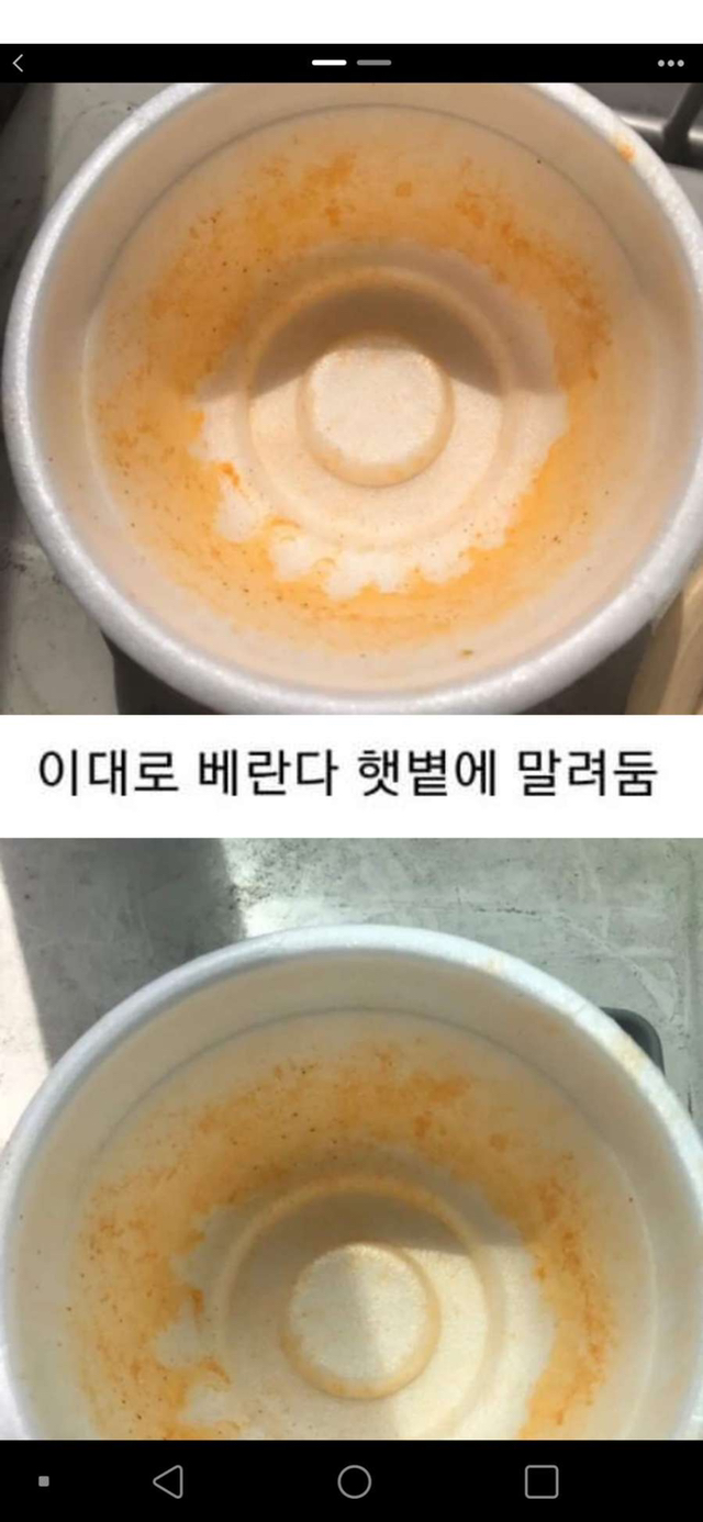 컵라면 용기 햇빛으로 설거지 하기 | 인스티즈