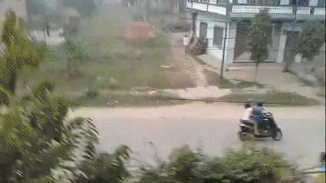 오토바이 쫓아가는 나무늘보 ㄷㄷㄷ | 인스티즈