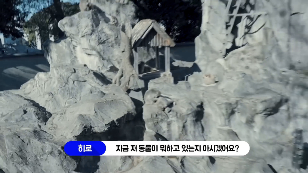 일본인이 밝히는 일본 원숭이의 암수 구분법 | 인스티즈