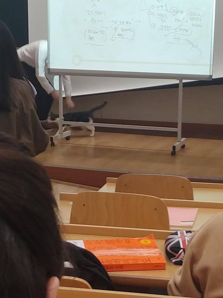 강의들으러 왔다가 교수님한테 쫓겨남 | 인스티즈