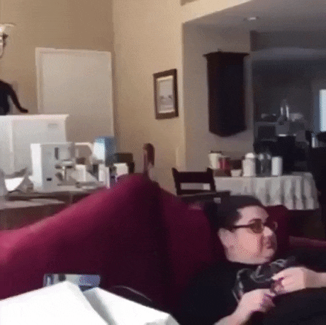 고장난 고양이들 | 인스티즈