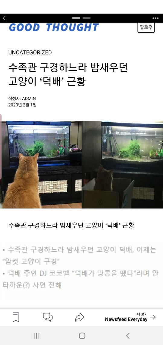 수족관 구경하느라 밤샌 고양이 덕배 근황.jpg | 인스티즈