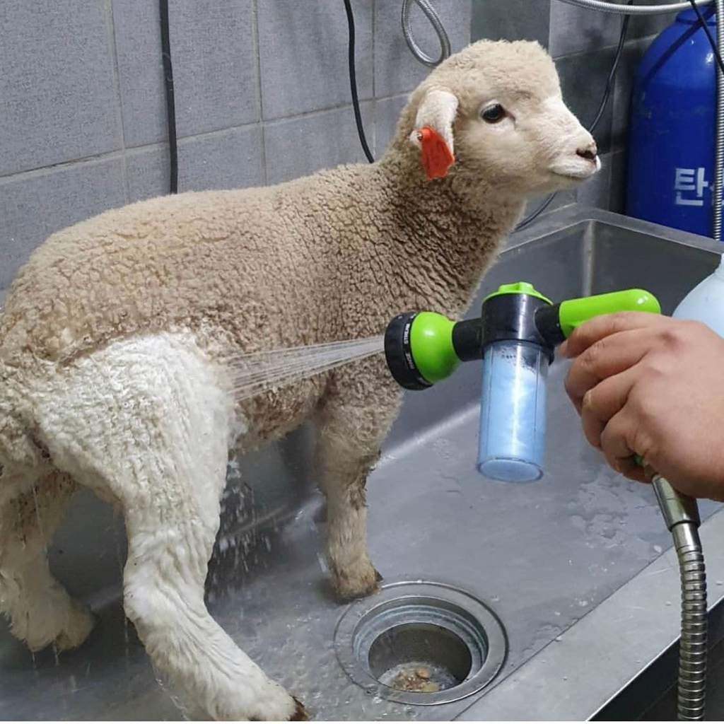 홍대 양카페 근황.jpg | 인스티즈
