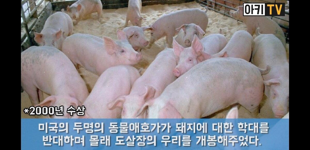 다윈상을 받은 채식주의자.JPG | 인스티즈