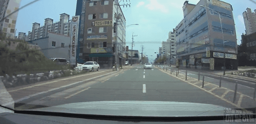 나는 햇빛이 싫다 너무도 싫다 | 인스티즈