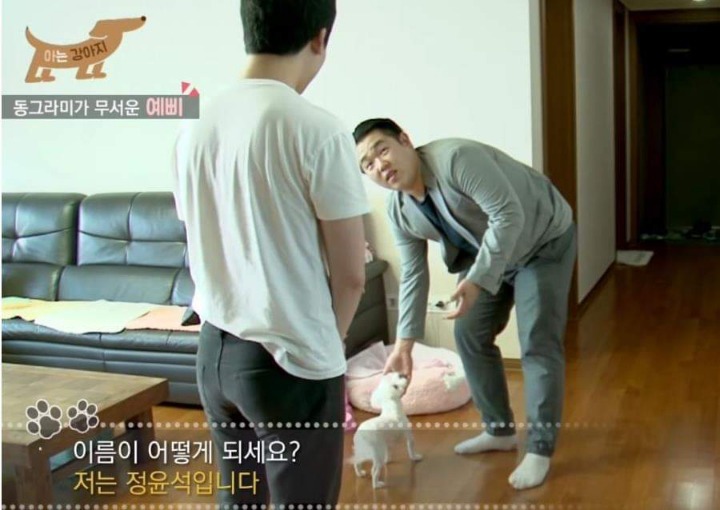 댕댕이 이름참사 | 인스티즈