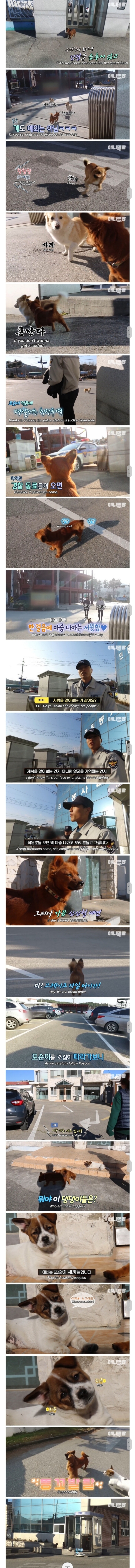 자식들에게 직업 대물림해주는 견찰.jpg | 인스티즈