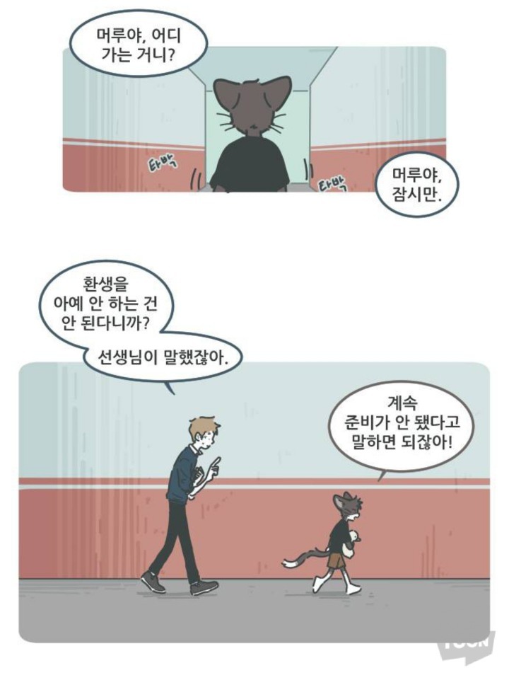 병원에서 죽음을 맞이한 고양이와 마지막을 지키지 못한 주인 | 인스티즈