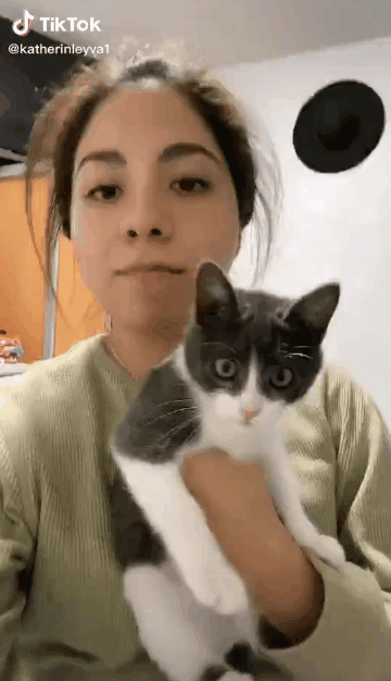 진짜로 놀라는 고양이.gif | 인스티즈