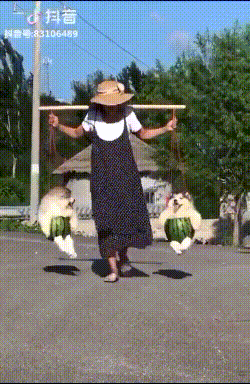 수박안에 들어간 댕댕이 | 인스티즈