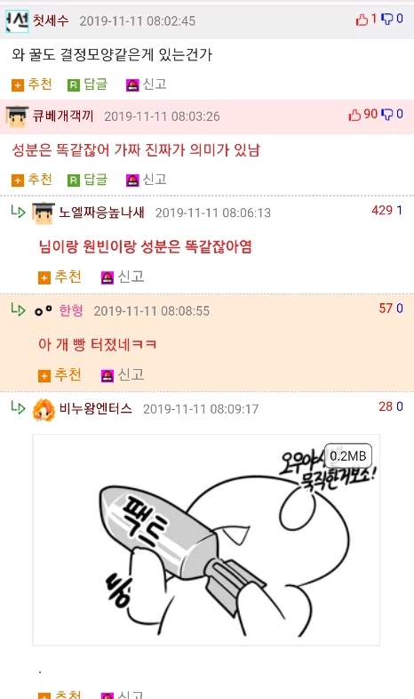 벌꿀 진짜 가짜 구분하는법(feat.웃대) | 인스티즈