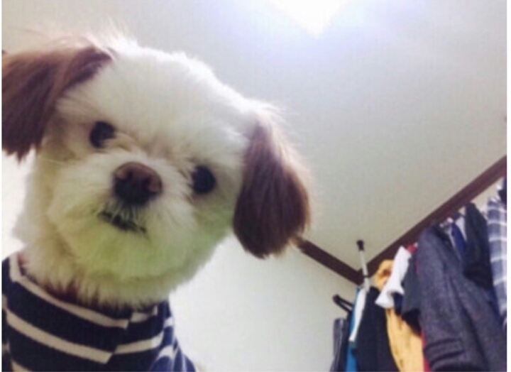 정신이 좀 드는가..? | 인스티즈