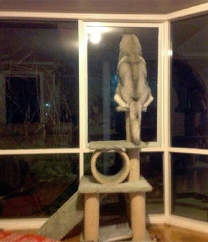 성장환경의 중요성 | 인스티즈