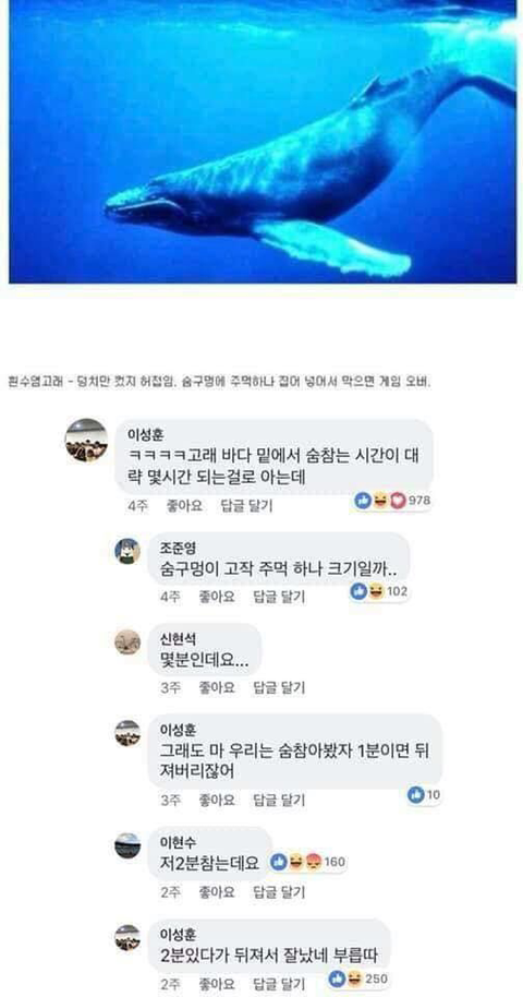 동물과 싸워서 이기는 방법ㅋㅋㅋㅋㅋㅋㅋㅋㅋㅋㅋㅋㅋㅋㅋㅋ | 인스티즈