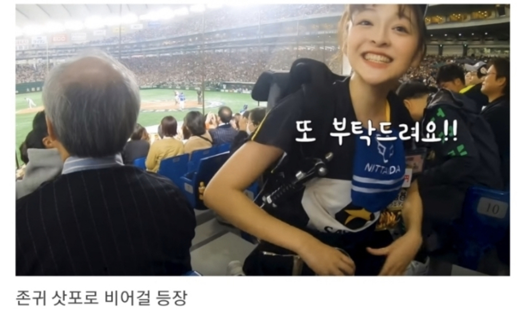 일본인이 밝히는 일본 원숭이의 암수 구분법 | 인스티즈