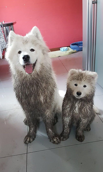 주인입장에서 멘붕오는사진 | 인스티즈