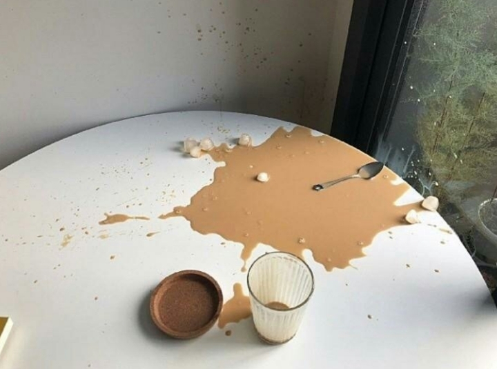 고양이랑 카페에서 사진찍기♡ | 인스티즈