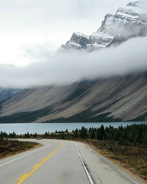 이모, 여기 두 장 같은 한 장 사진 주세요 | 인스티즈