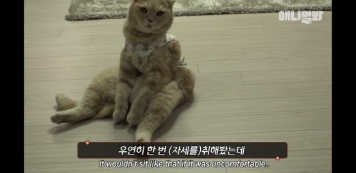 앉아있는게 편한 때껄룩 | 인스티즈