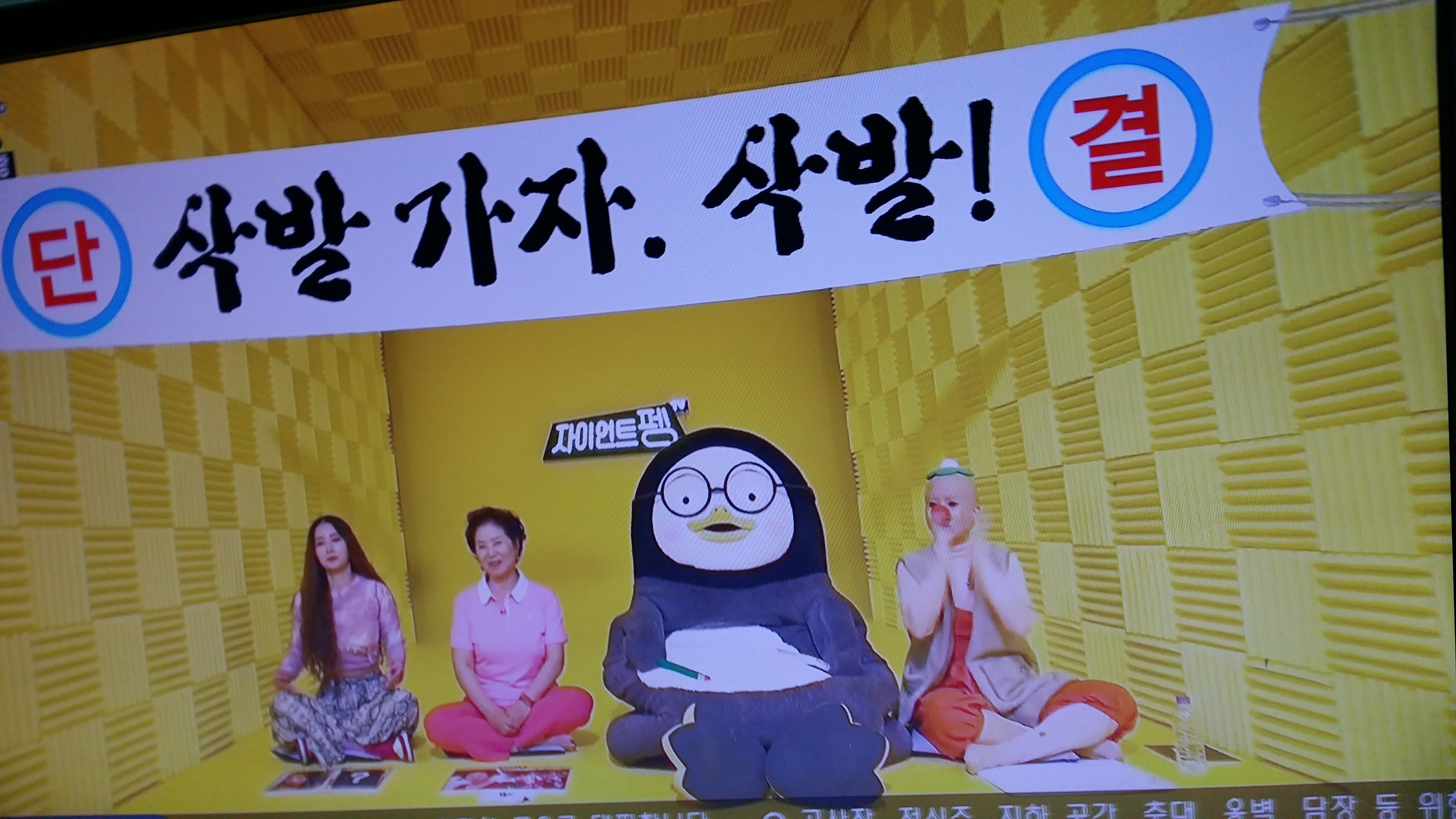 현재 보니하니 | 인스티즈
