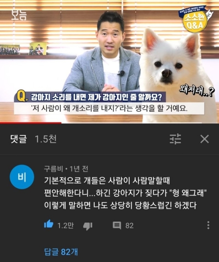 사람이 강아지소리를 내면 제가 강아지인줄 알까요? | 인스티즈