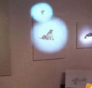 신기한 빔프로젝트 아트 | 인스티즈