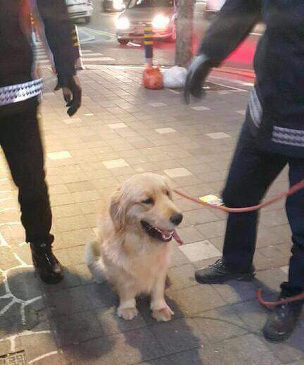 편의점에 난입한 인절미 | 인스티즈