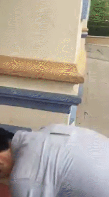 인싸들의 놀이공원 입장법 | 인스티즈