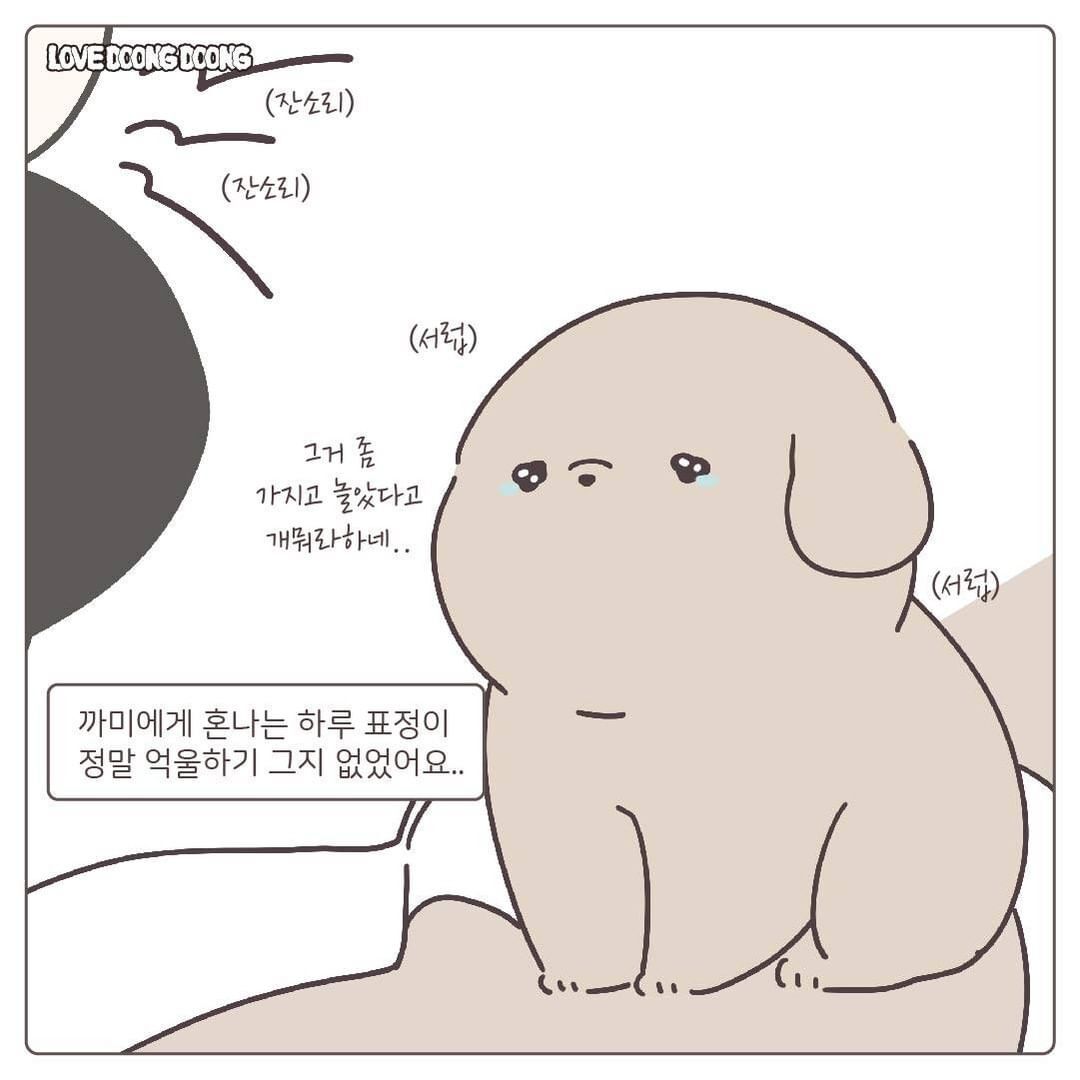 태어나서 처음 잔소리를 들은 댕댕이.jpg | 인스티즈