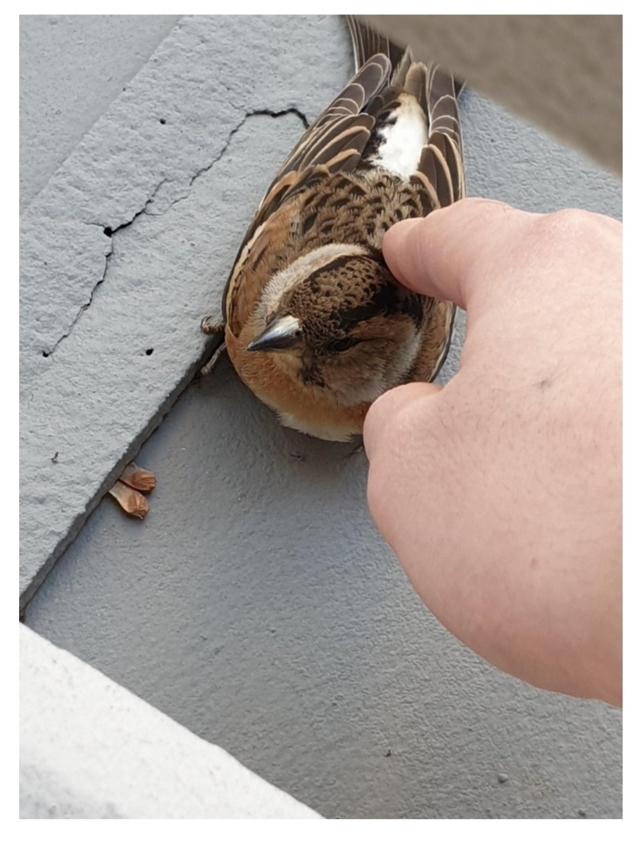 다이나믹 편의점 갤러리... | 인스티즈