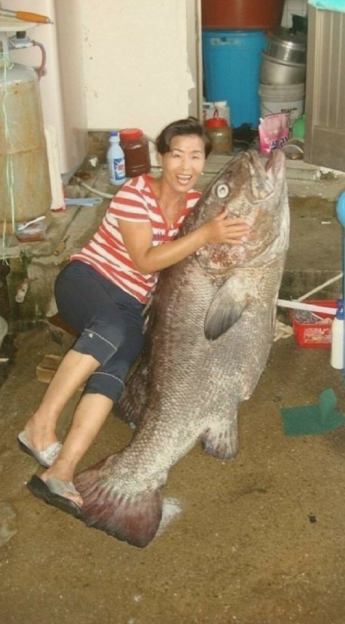 여자가 누워서 큰돔을 들고... | 인스티즈