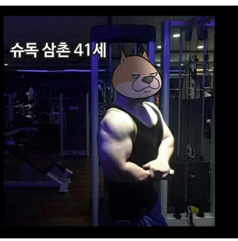 유단자도 칼 든 사람 만나면 무섭다.manhwa | 인스티즈