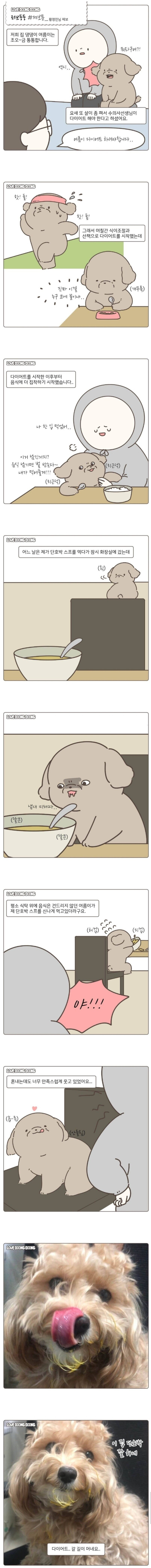 댕댕이 다이어트.jpg | 인스티즈