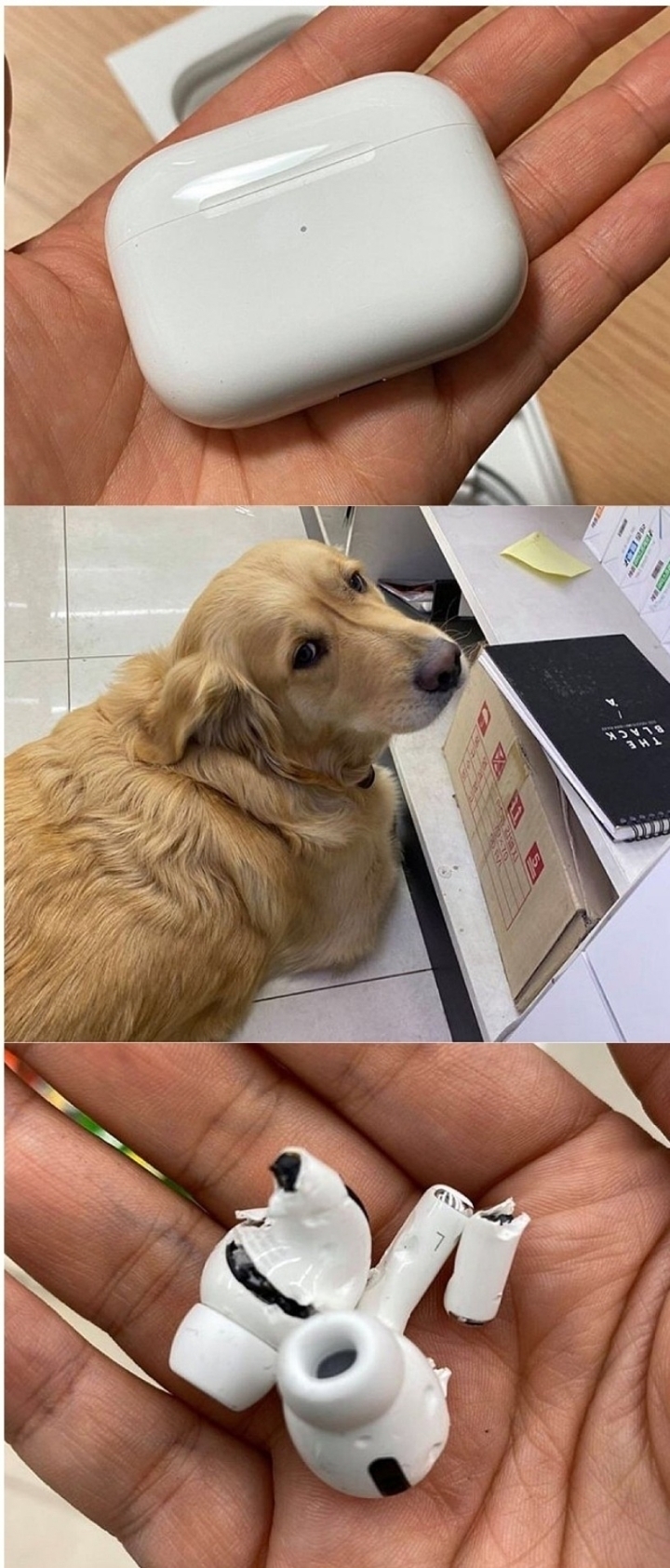 에어팟 후기 | 인스티즈