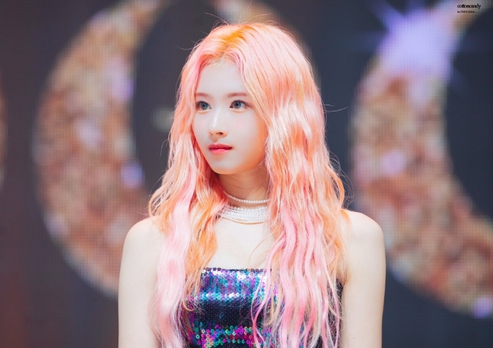 2020년을 여는 트와이스 사나 첫번째 글 | 인스티즈