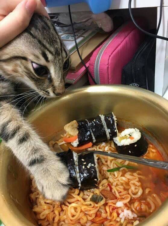???: 야야 그거 한입 먹는다고 죽냐 ㅋㅋㅋ | 인스티즈