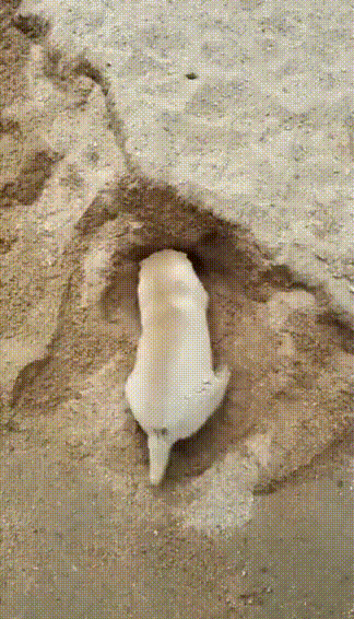 공사현장에서 매몰됨 ㄷㄷ | 인스티즈