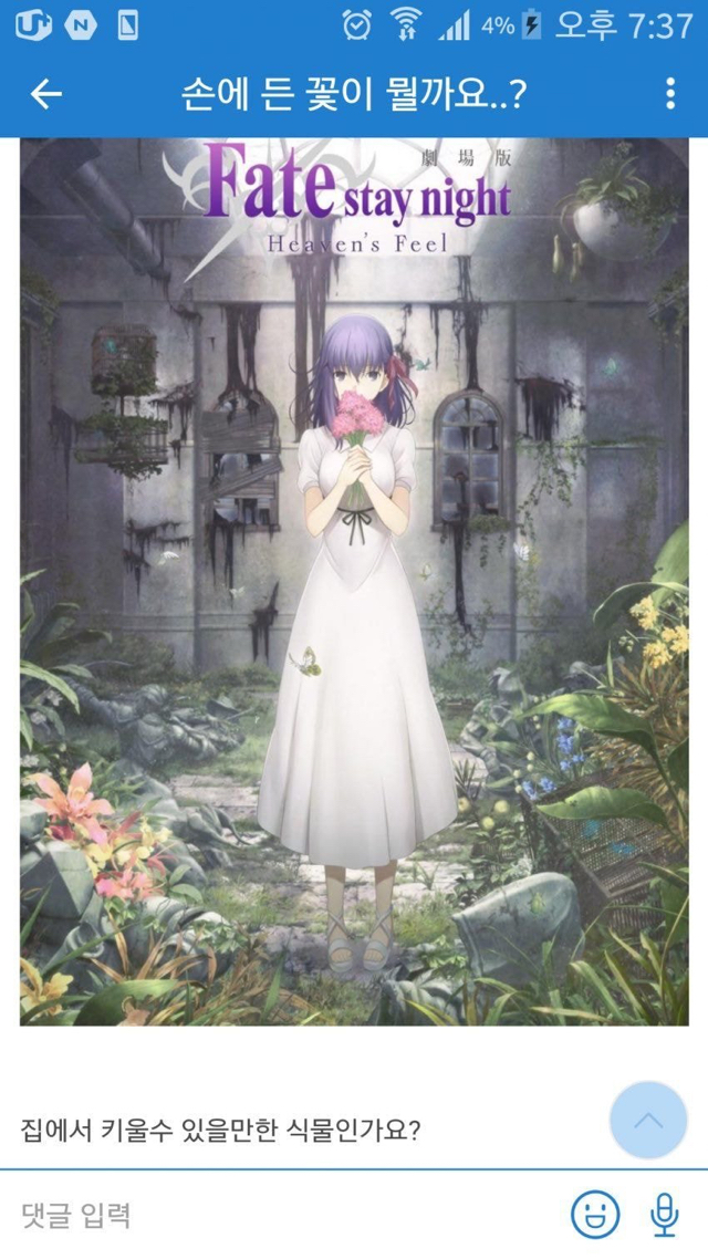 식물 찾아주기 레전드.jpg | 인스티즈