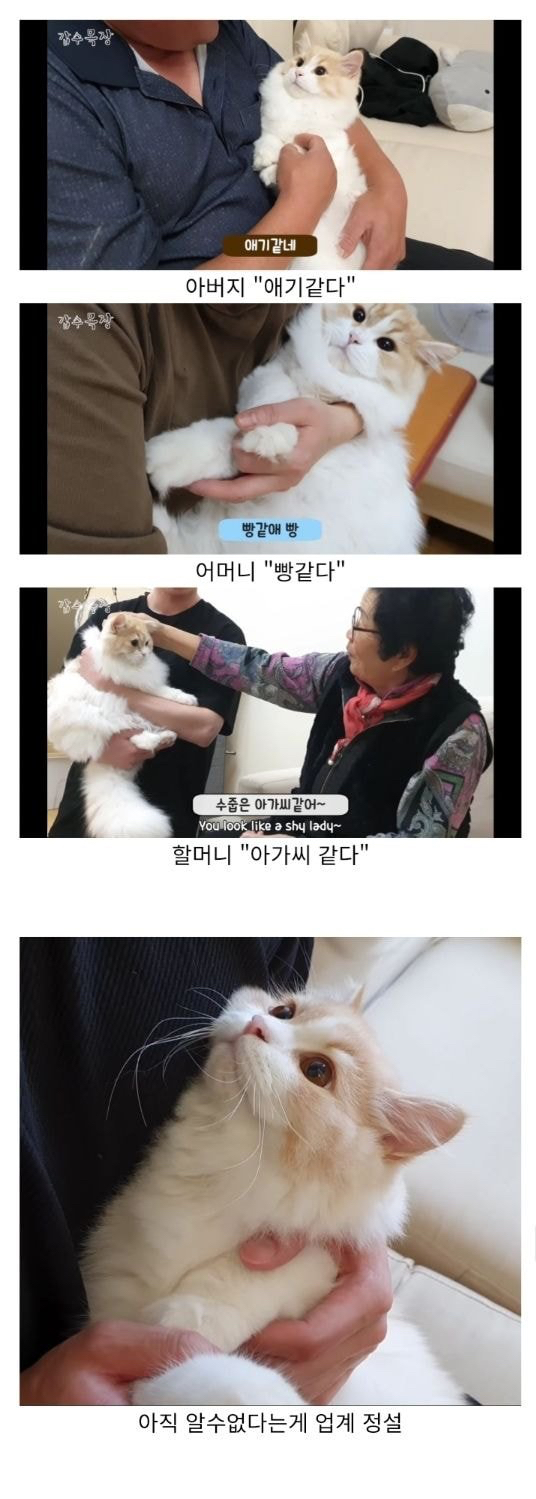 정체를 알수없어 사람마다 의견이 분분한 생물 | 인스티즈