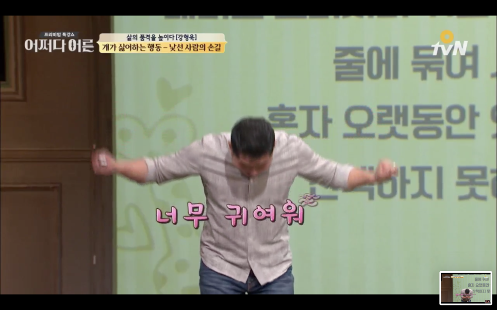 지나가다 귀여운 댕댕이를 볼때 어떻게 반응해야하나 | 인스티즈