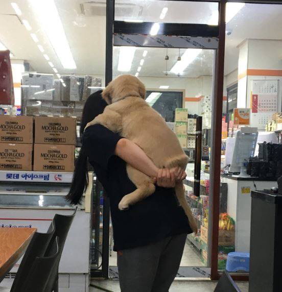 이상한거 주워먹어서 혼냈더니 | 인스티즈