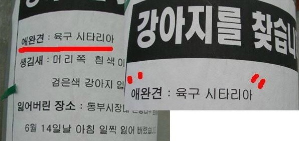 뭔가 이상한 단어들 | 인스티즈