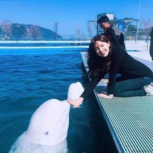 남녀차별하는 돌고래 | 인스티즈