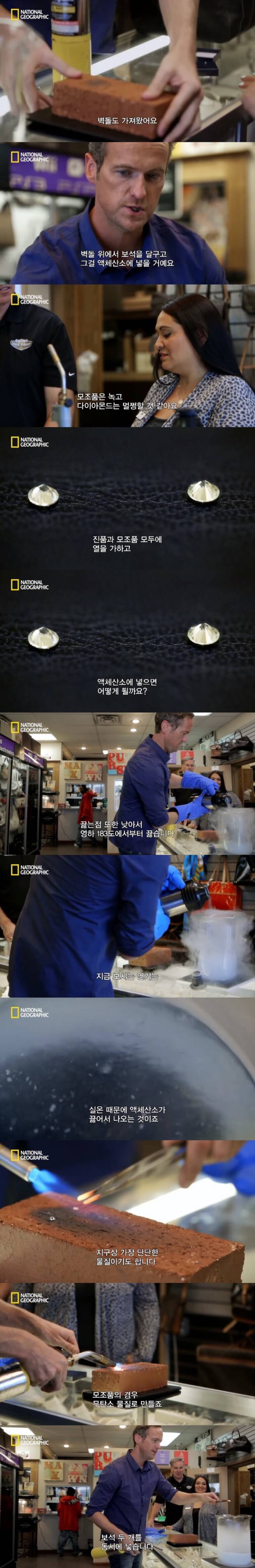 가짜 다이야 구별 | 인스티즈