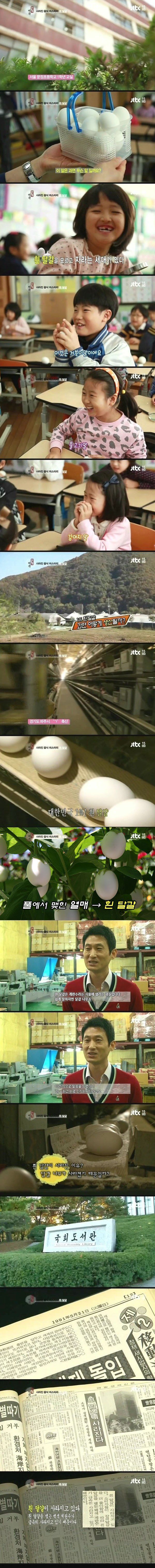 요즘 애들은 모르는 식재료 | 인스티즈