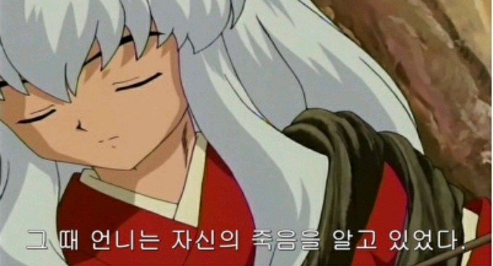 생각보다 더 깊은 이누야샤와 금강 서사 | 인스티즈