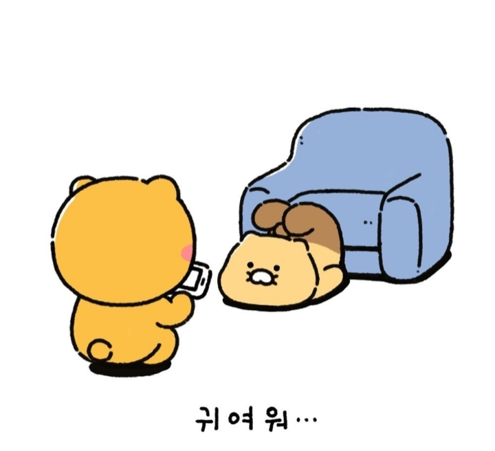 귀여운 춘식이 | 인스티즈