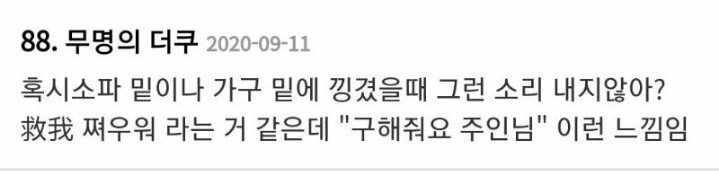 방이 돼지 우리같다고 말하는 로봇청소기 | 인스티즈