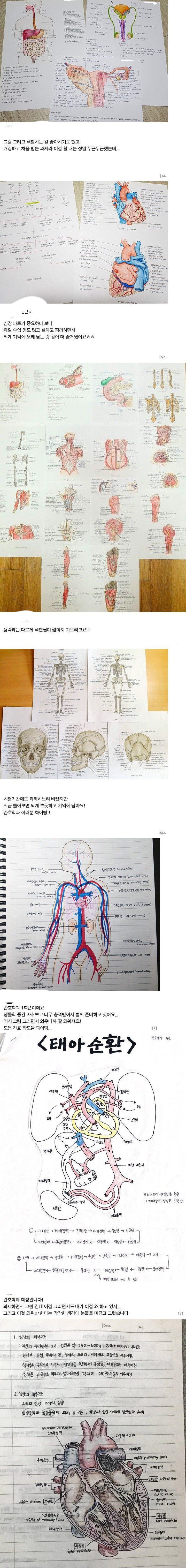 간호학과 필기 수준....jpg | 인스티즈