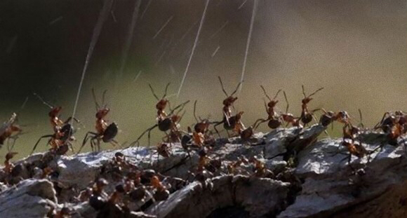 냉혹한 원딜의 세계 | 인스티즈